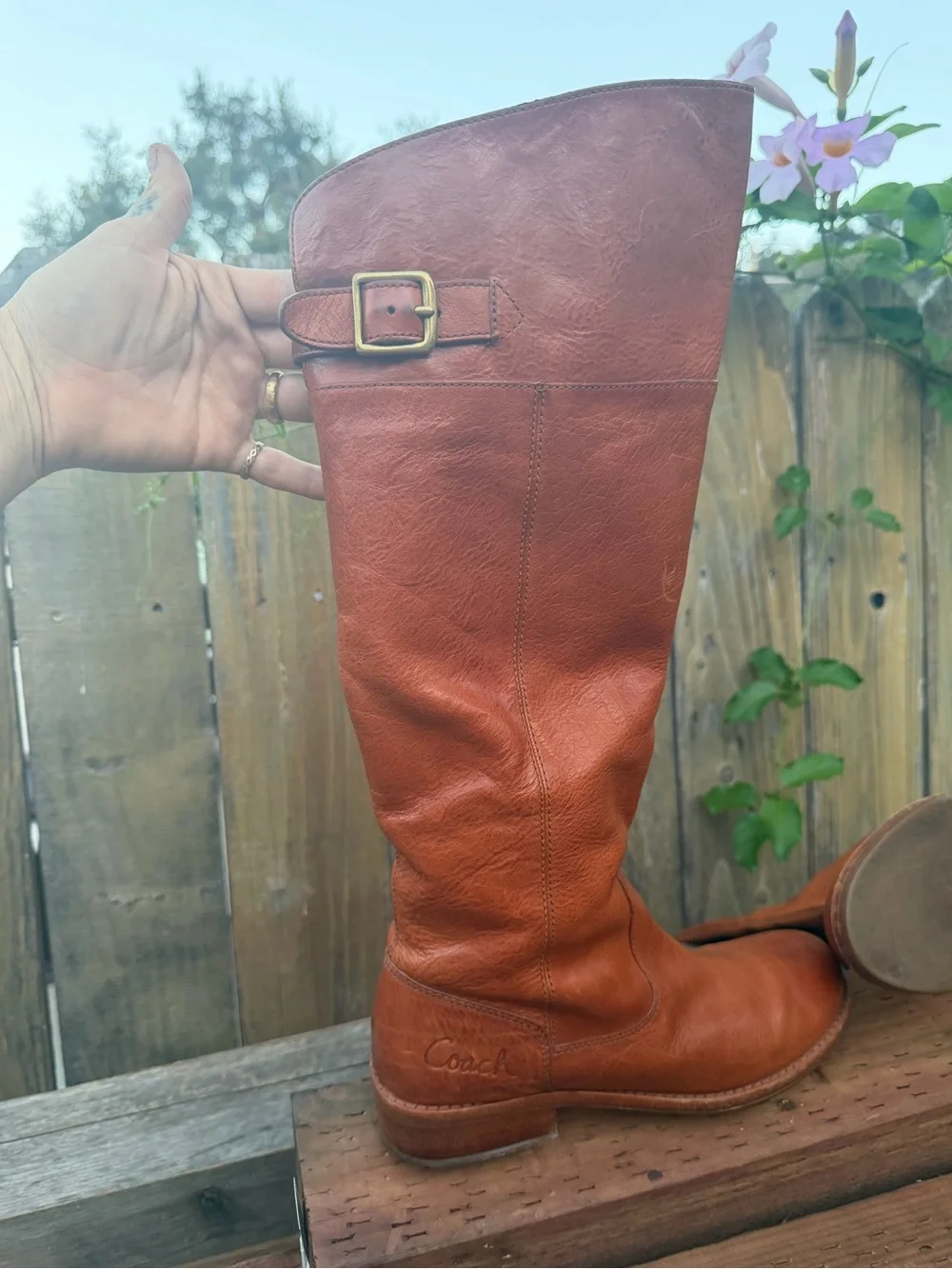 Coach Joelle Boots